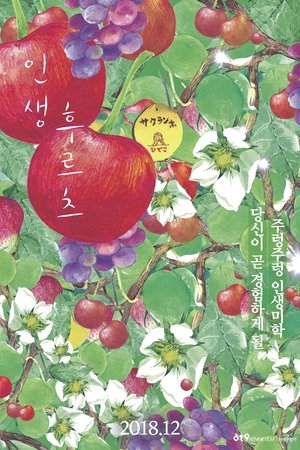인생 후르츠