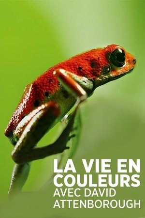 La Vie en couleurs avec David Attenborough