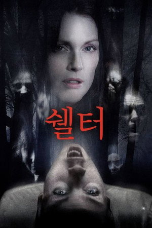 쉘터