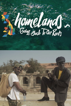 Homelands poster