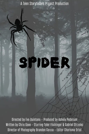 Spider Spider