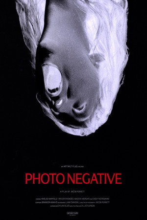 Photo Negative Photo Negative