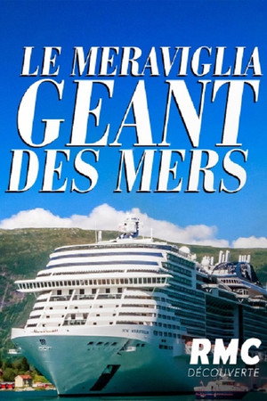 Le Meraviglia : Géant des mers poster