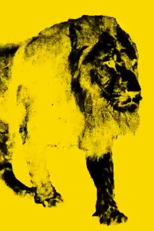 9 Images of a Lion in Movement poster