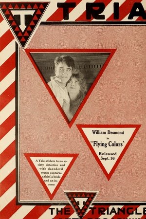 Flying Colors