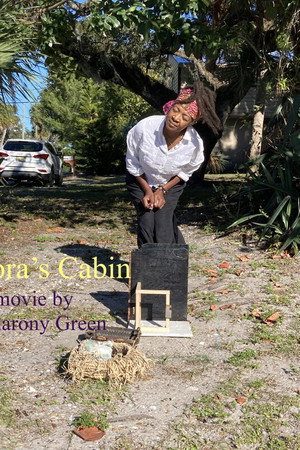 Zora's Cabin poster