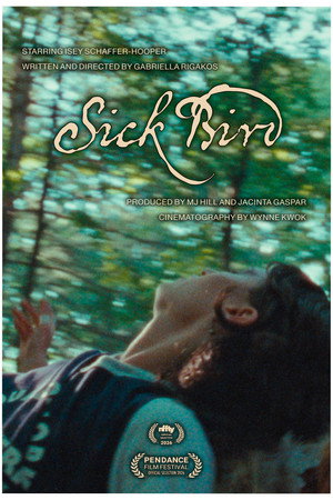 Sick Bird poster
