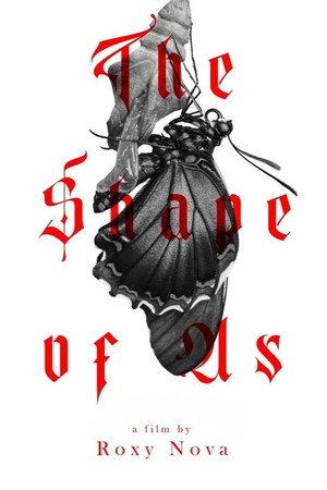 The shape of Us poster