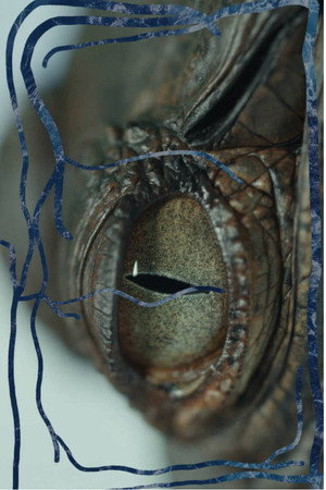 In the Veins poster