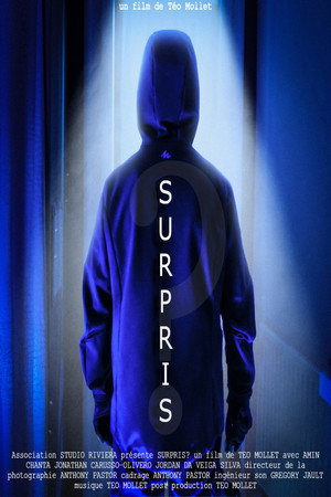 Surpris? poster