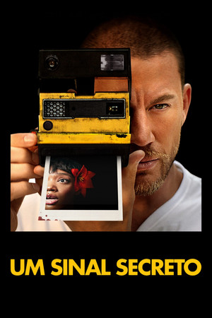 Poster do filme Pisque Duas Vezes