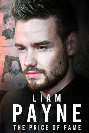 Price of Fame: The Liam Payne Story poster