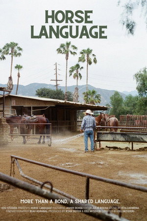 Horse Language