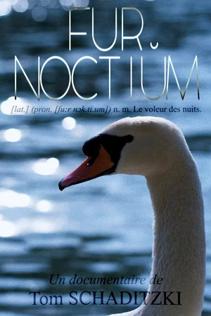 FŪR NOCTIŬM poster