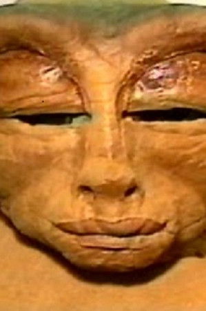 Vt3j48qtv9hgqas1k0ojuidv0ul