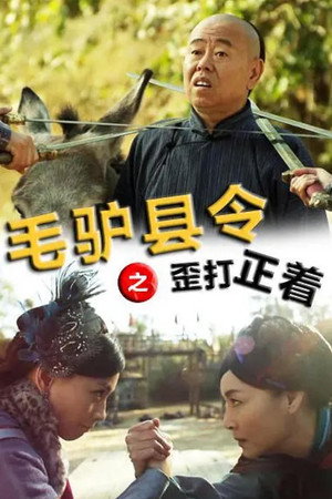 Donkey Magistrate: A Crooked Hit poster