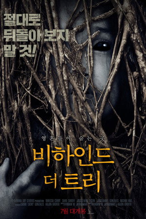 비하인드 더 트리