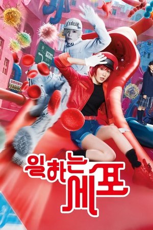 일하는 세포