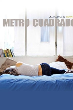 Metro cuadrado