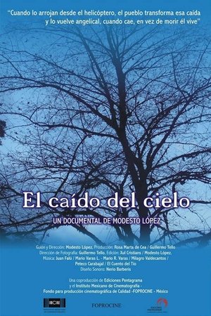 The One Fallen from the Sky poster