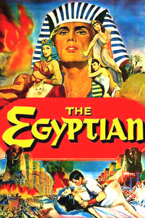 이집트인