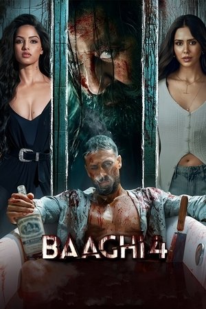 Baaghi 4