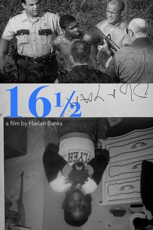 16 1/2