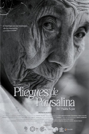 Pliegues de Pausalina poster