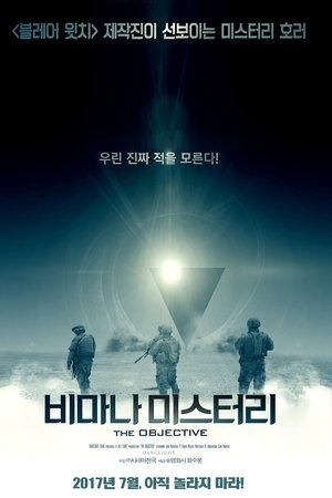 비마나 미스터리