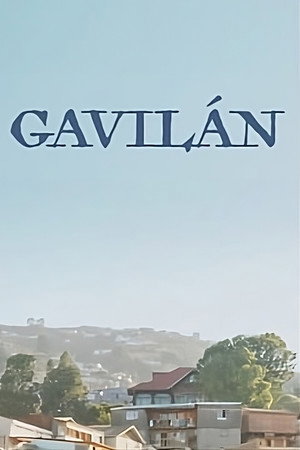 Gavilàn poster