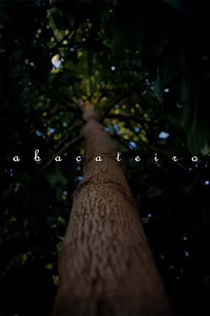 Abacateiro poster