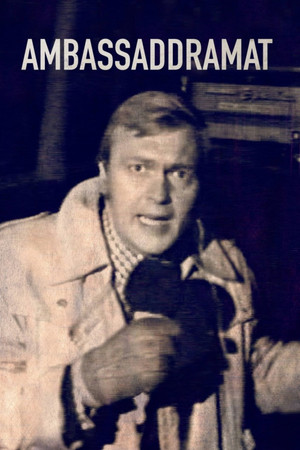 The Embassy Occupation