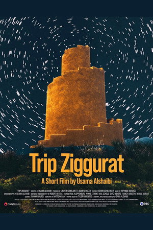 Trip Ziggurat poster