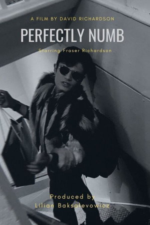 Perfectly Numb poster