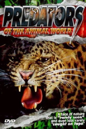 Predators of the Animal World poster