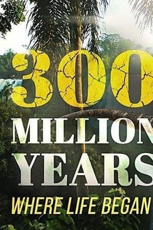 300 Million Years