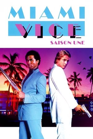 Deux flics à Miami