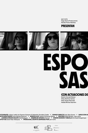 Esposas poster