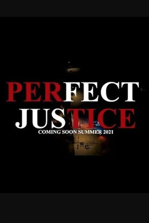 Perfect Justice poster