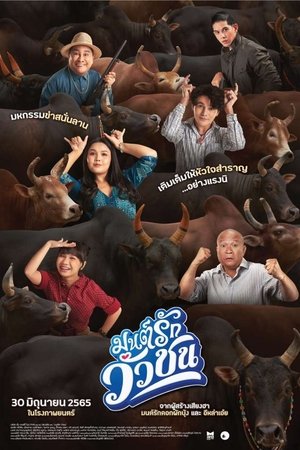 มนต์รักวัวชน