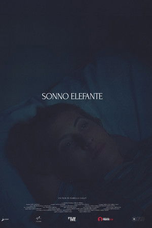 Sonno Elefante