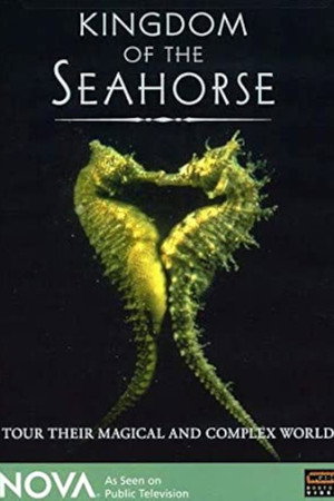 Kingdom of the Seahorse poster