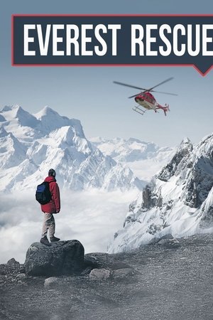 Everest Rescue