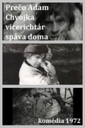 Adam Chvojka vicerichtár