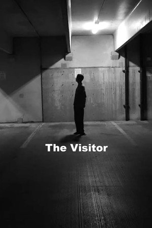 The Visitor poster