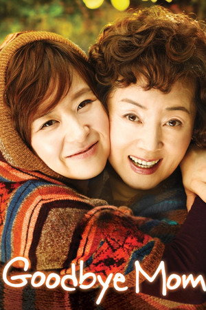 애자 애자