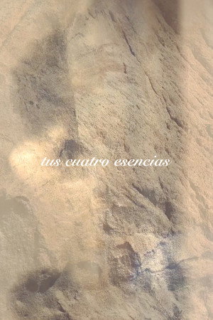 tus cuatro esencias poster