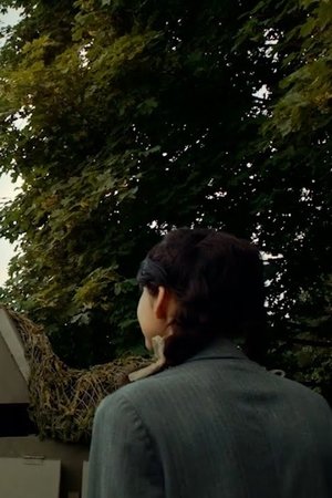 Perdon en tiempos de guerra