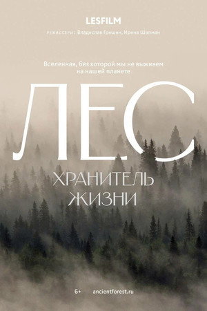 The Forest poster