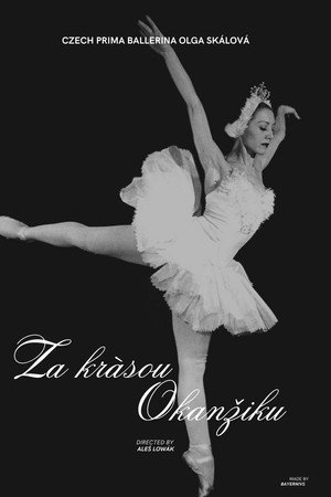 Za krásou okamžiku